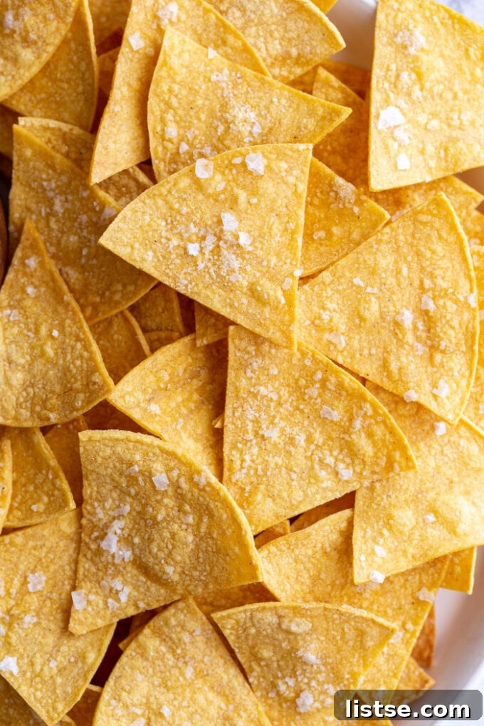 large plate of homemade tortilla chips