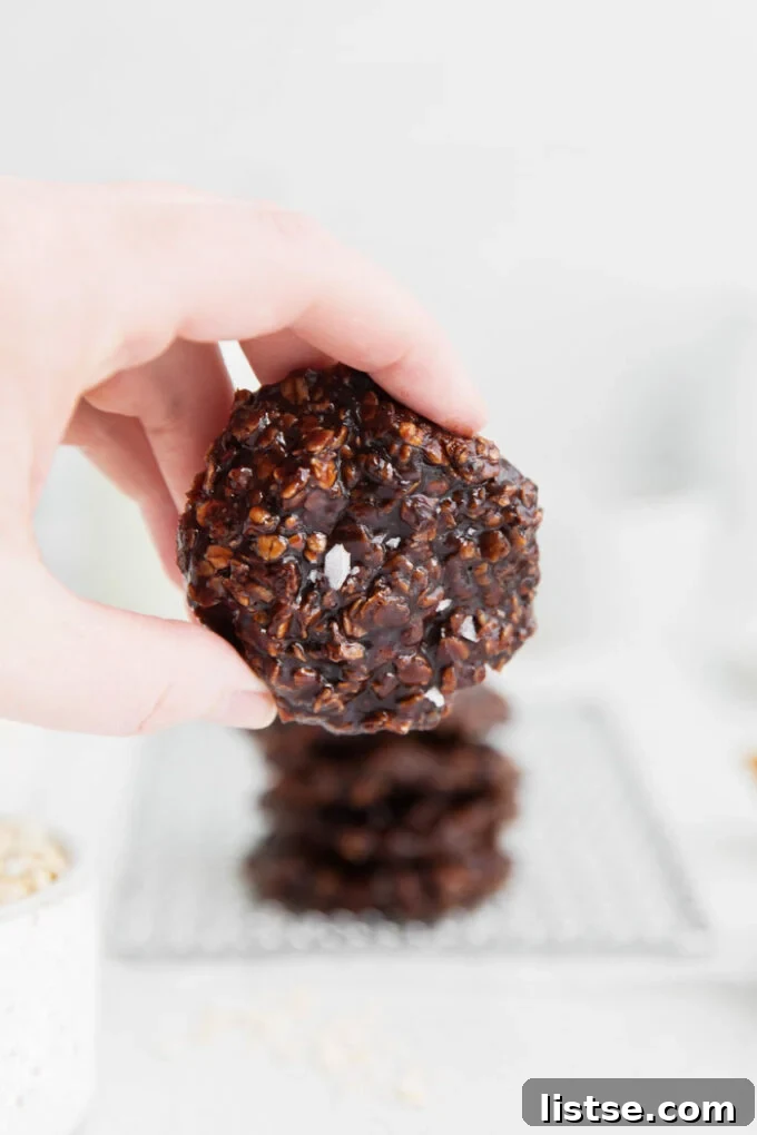 A hand holding a single Vegan No Bake Cookie, showcasing its soft texture