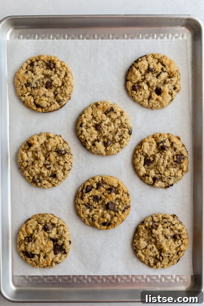 Freshly baked vegan chocolate chip oatmeal cookies cooling on a baking tray