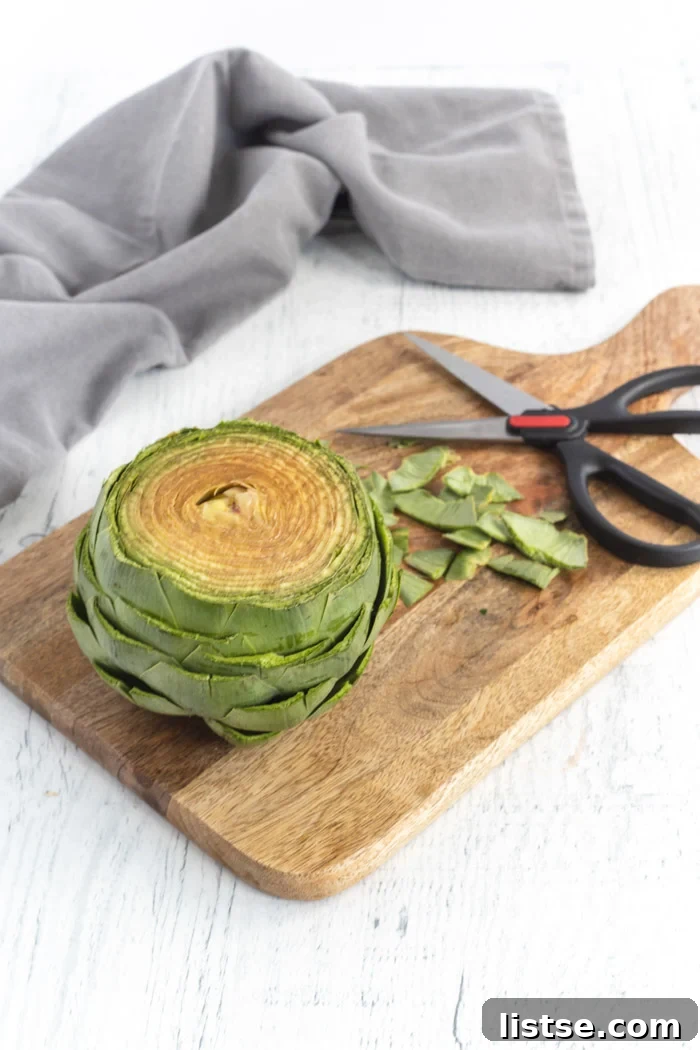 preparing an artichoke by cutting the tips of the leaves