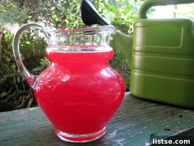 K-Food Wonders 6 A pitcher of bright red Kool-Aid with a glass, ready to be poured, evoking nostalgic summer vibes