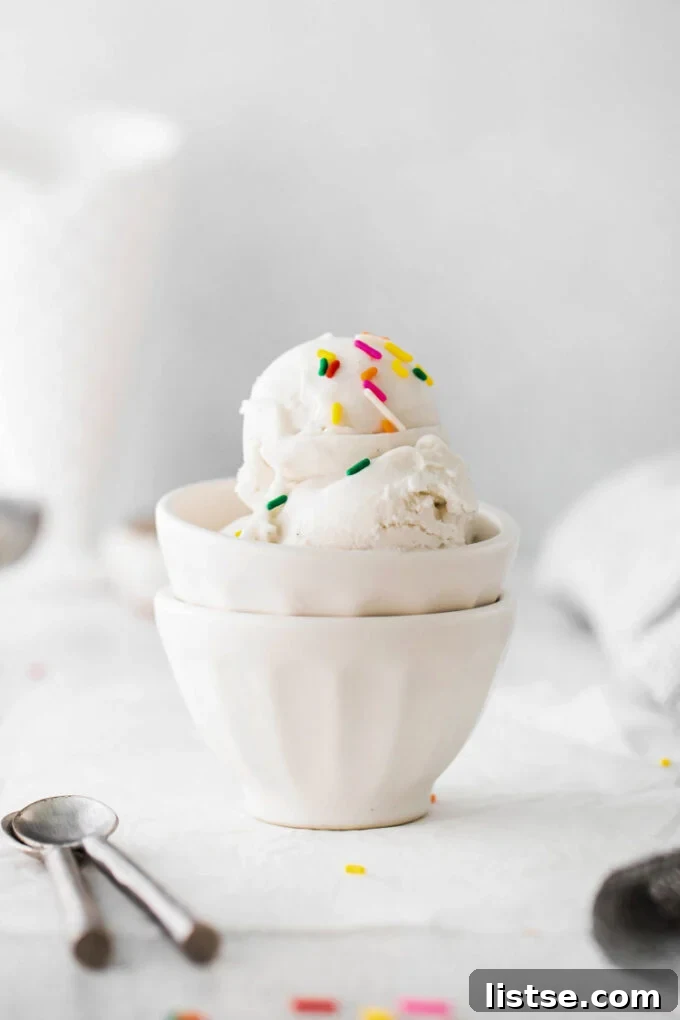 Creamy Vegan Dreams 6 Multiple scoops of vegan ice cream, garnished with colorful sprinkles, presented in a small white bowl.