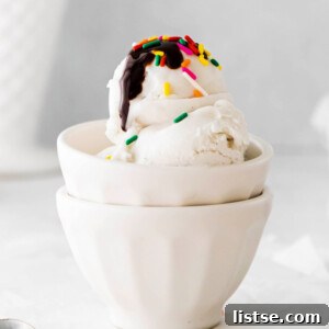 Creamy Vegan Dreams 7 Vegan Ice Cream topped with sprinkles and chocolate fudge