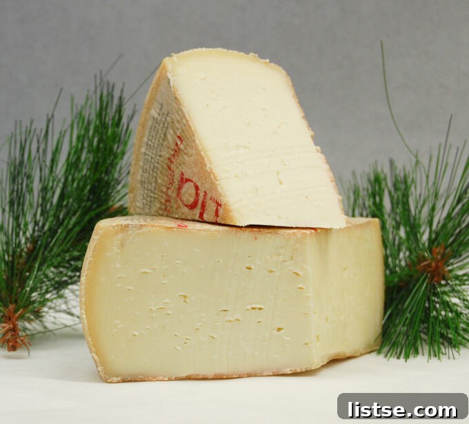 Uncommon U-Starting Culinary Delights 7 A block of Urgelia cheese, showcasing its distinctive rind and texture.