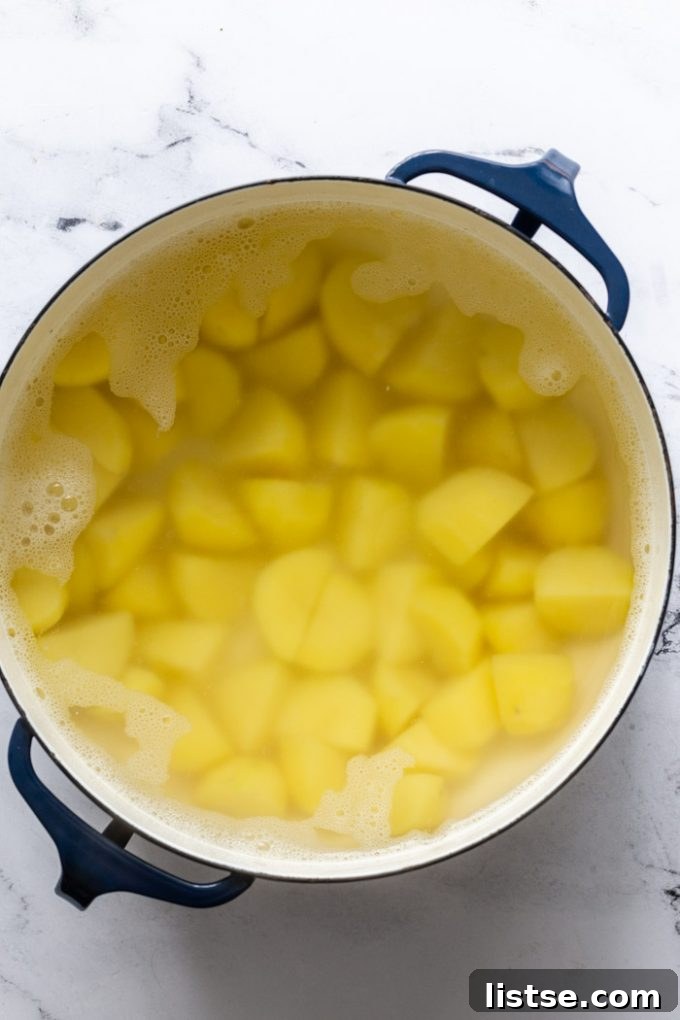 Y-Foods: A Tasty Exploration 6 Fluffy mashed Yukon Gold potatoes with a rich, savory gravy poured over them, showcasing their creamy texture.