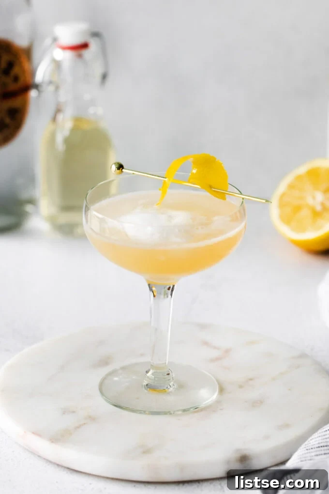 Zesty Vodka Refreshment 2 Vodka Sour drink in a coupe glass with a twist of lemon garnish