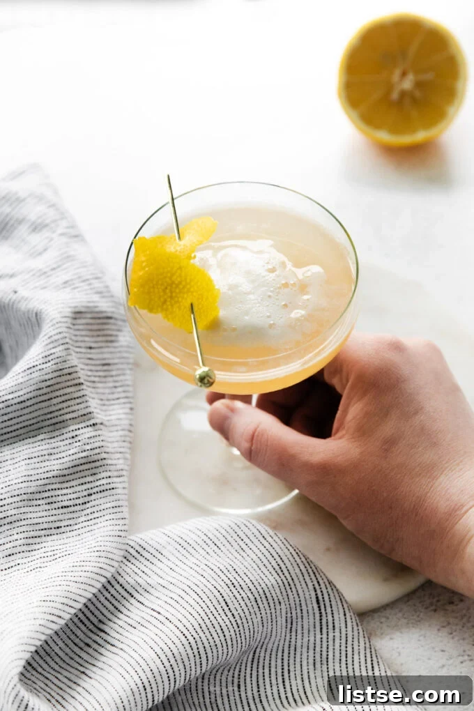 Zesty Vodka Refreshment 5 Woman's hand holding a vodka sour cocktail, ready to sip