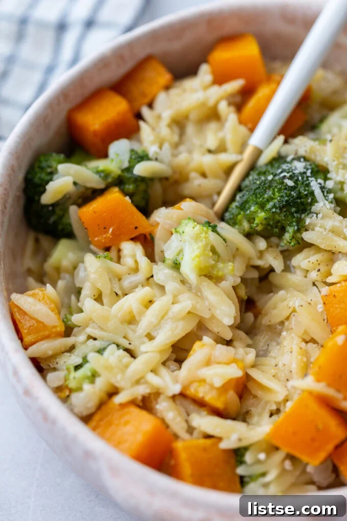 Golden Cheesy Butternut Orzo 4 A close-up view of a bowl of cheesy orzo pasta, beautifully topped with golden butternut squash cubes and vibrant green broccoli florets. A fork rests invitingly on the side.