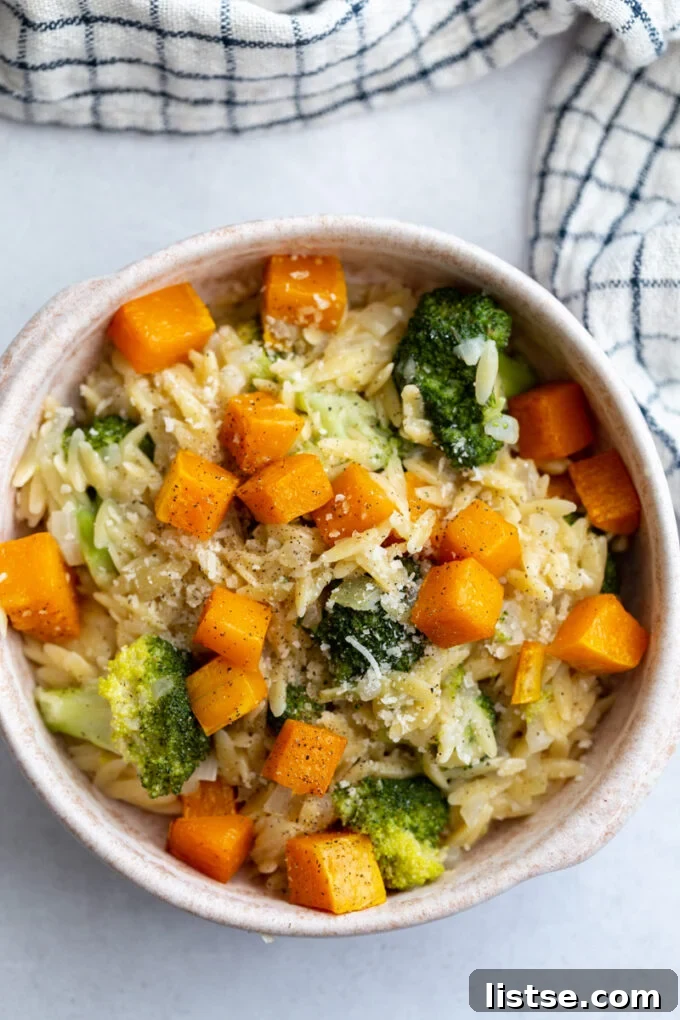 Golden Cheesy Butternut Orzo 6 A generous serving of cheesy orzo pasta, adorned with roasted butternut squash cubes and fresh broccoli, presented in a stylish bowl, inviting you to savor its warmth.