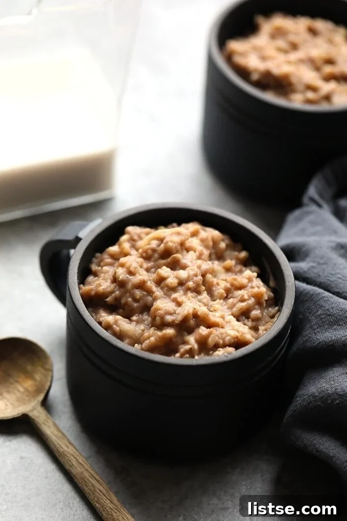 Effortless Vegetarian Crockpot Feasts 9 Hearty apple cinnamon steel-cut oats served in a small black bowl, perfect for breakfast.