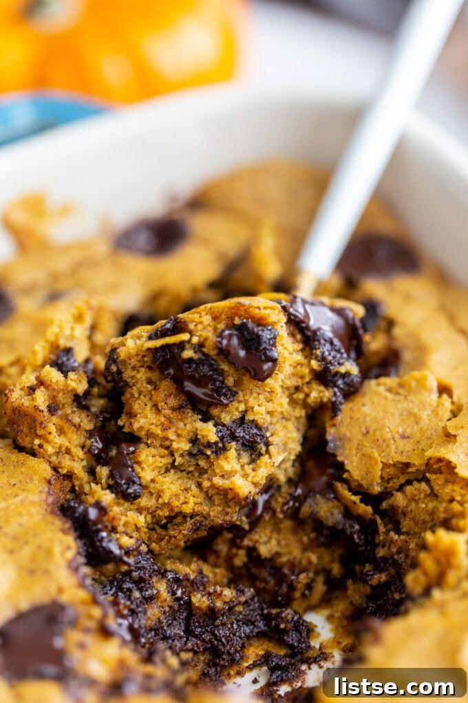 Autumn Spiced Pumpkin Baked Oats 4 A close-up of pumpkin baked oatmeal, showcasing its rich texture and chocolate chunks, with a serving spoon taking a portion.