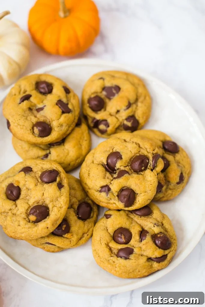 Plump vegan pumpkin chocolate chip cookies displayed on a white serving plate, highlighting their soft texture.