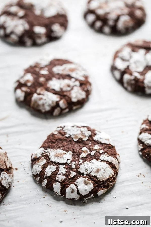 Festive Plant-Based Cookie Delights 13 Rich chocolate crinkle cookies dusted with powdered sugar