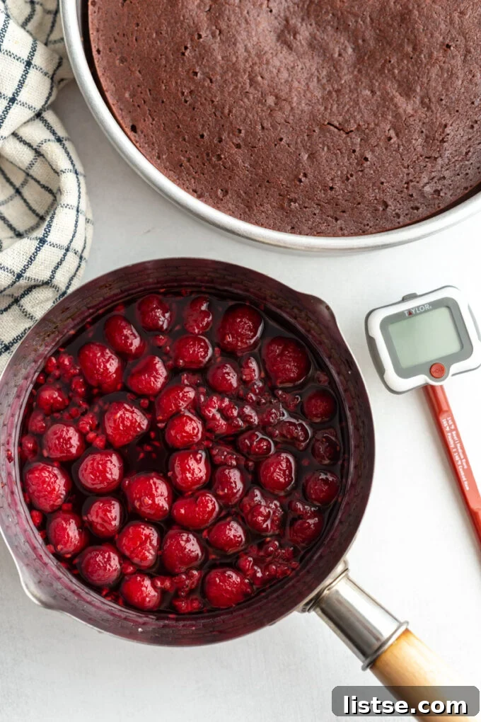 Decadent Red Wine Chocolate Cake 4 A beautifully decorated vegan red wine chocolate cake.