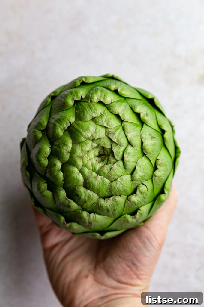 Close-up of a vibrant, whole fresh artichoke, ready for preparation