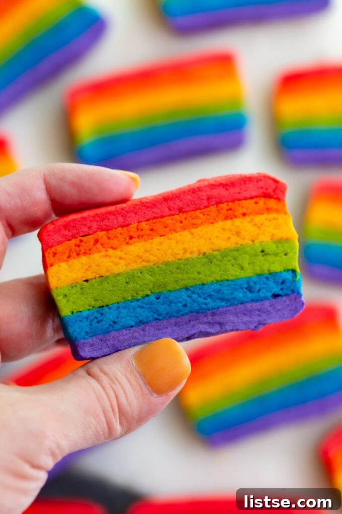 A vibrant Vegan Pride Flag Sugar Cookie held delicately in a hand, showcasing its beautiful rainbow layers.