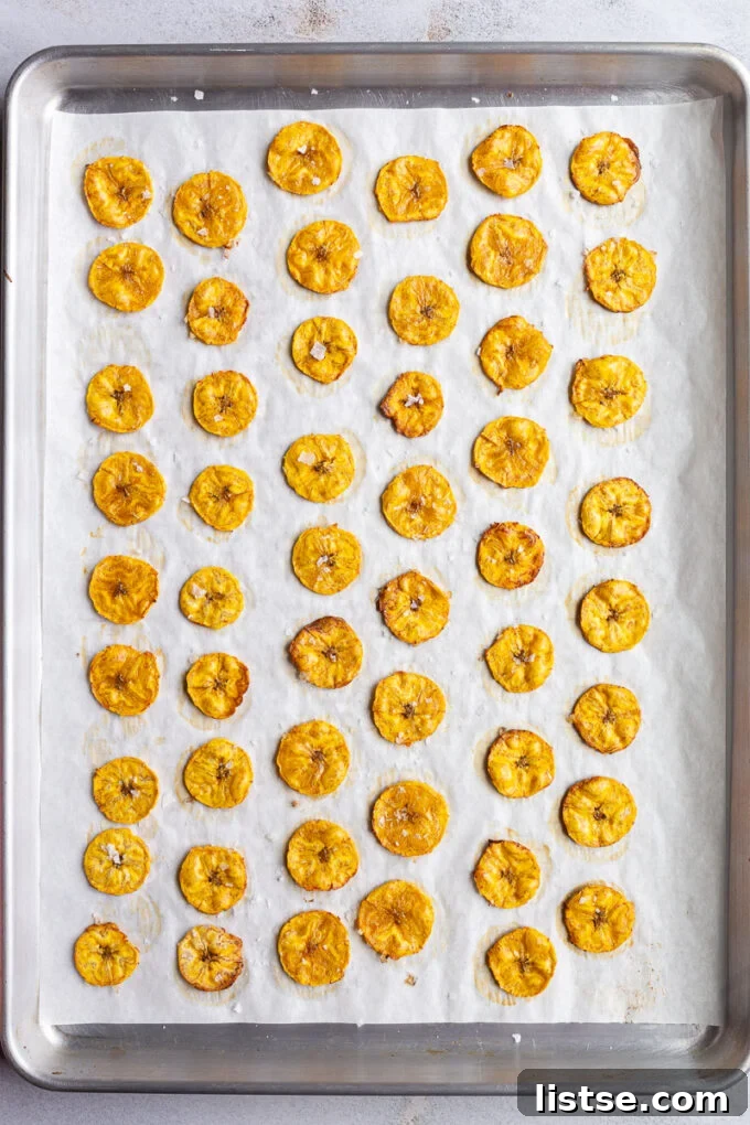 Tropical Plantain Crunch 5 Golden brown, crispy plantain chips spread out on a baking pan after being perfectly oven-baked.