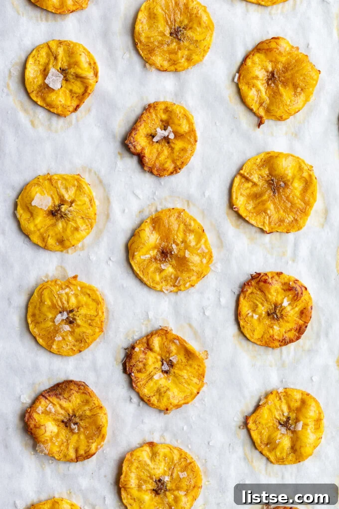 Tropical Plantain Crunch 6 Perfectly oven-baked plantain chips cooling on parchment paper on a baking sheet.