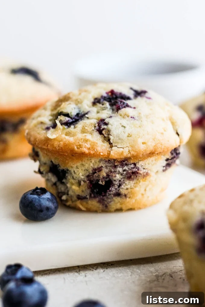 Perfectly baked Vegan Blueberry Muffins arranged on a pristine white serving tray, showcasing their golden tops and visible blueberries.