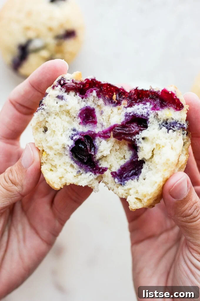 A hand gently holds a freshly baked Vegan Blueberry Muffin, split in half to reveal its moist interior packed with blueberries.