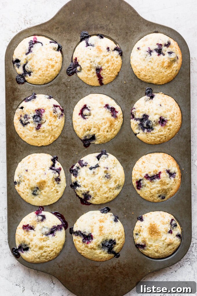 Freshly baked and golden brown blueberry muffins still in the muffin tin, just out of the oven.