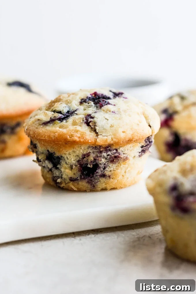 A close-up of several fluffy muffins with visible blueberries, arranged appealingly to highlight their texture and golden color.