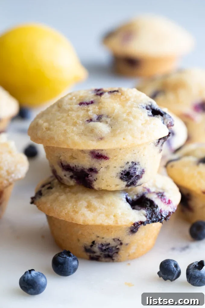 Bright Lemon Blueberry Muffins 2 One blueberry muffin on top of another, showcasing its golden-brown top and tender crumb.