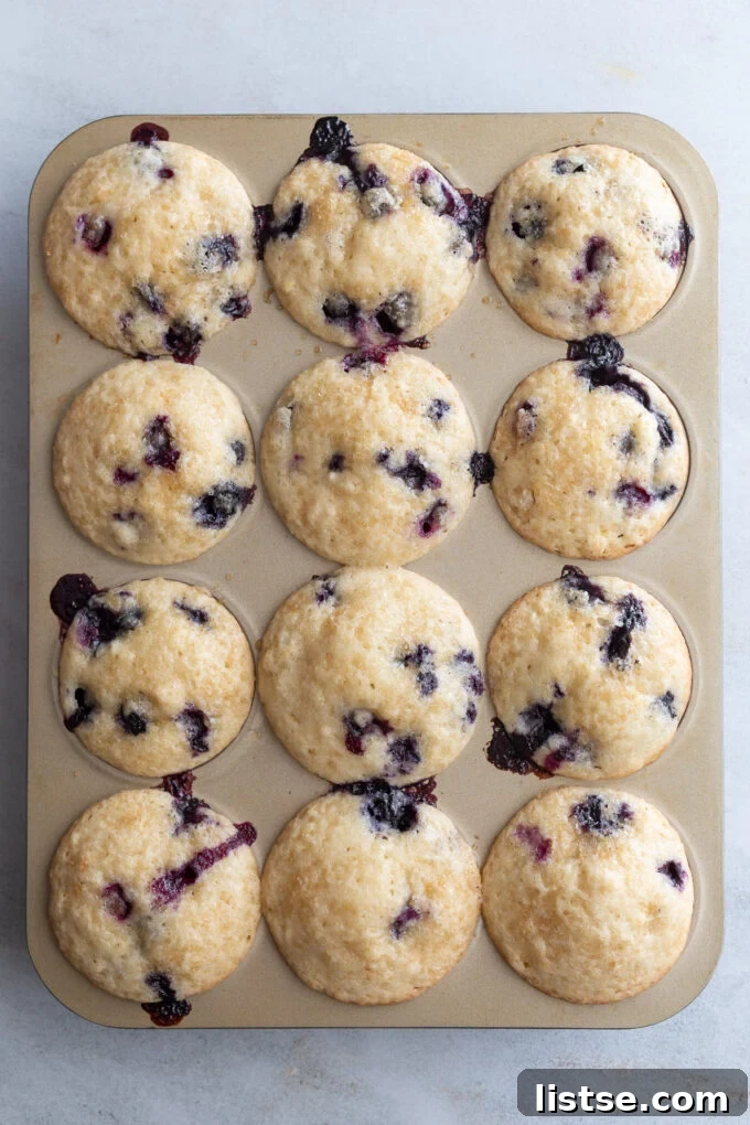 Bright Lemon Blueberry Muffins 5 Freshly baked lemon blueberry muffins in a muffin tin, golden and perfectly risen.