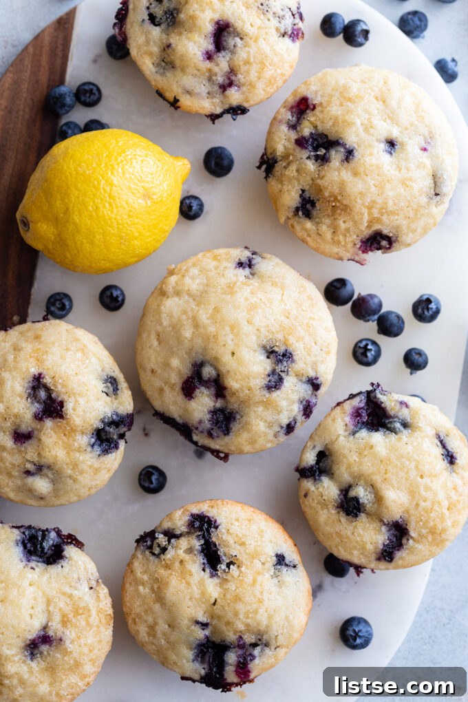 Bright Lemon Blueberry Muffins 6 A batch of baked lemon blueberry muffins cooling in a muffin pan.