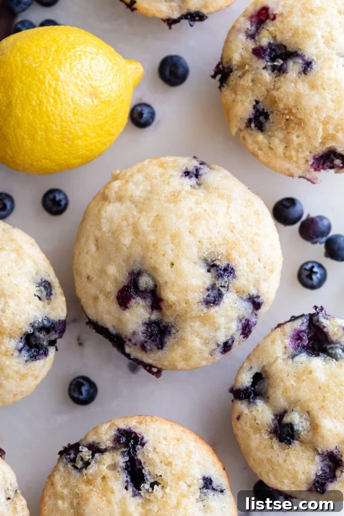 Bright Lemon Blueberry Muffins 7 A single lemon blueberry muffin positioned next to fresh blueberries and a whole lemon.