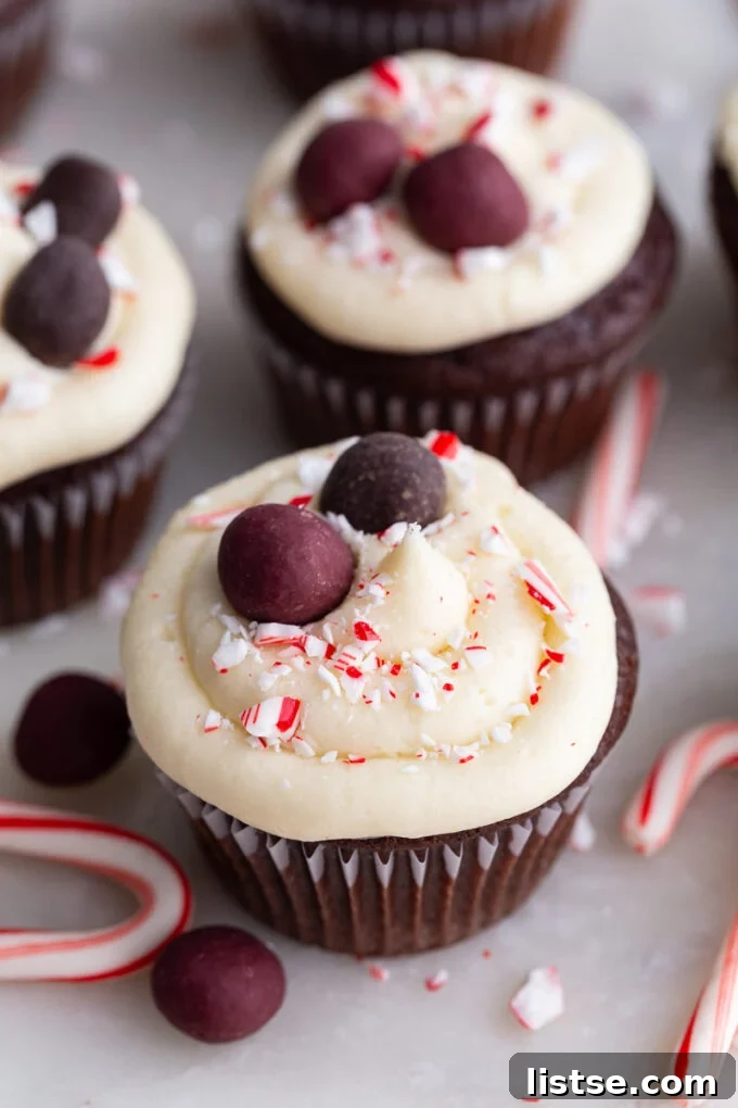 Peppermint Chocolate Bliss Cupcakes 2 Beautifully frosted Chocolate Peppermint Cupcake topped with a Natural Delights Truffle and crushed peppermint candy.