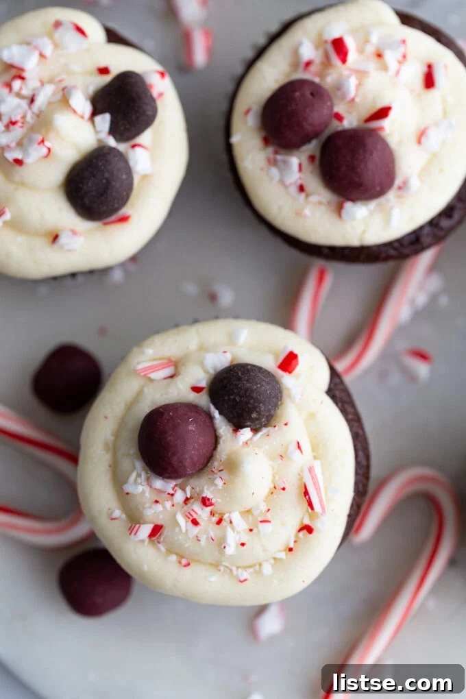 Peppermint Chocolate Bliss Cupcakes 6 A tray of finished Chocolate Peppermint Cupcakes decorated with frosting, crushed peppermint, and Natural Delights Truffles.