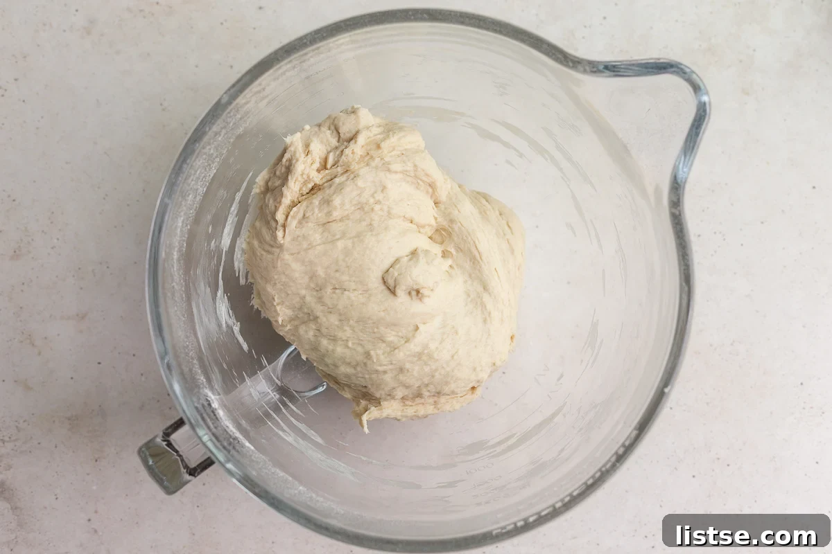 Kaleidoscope Loaf 5 Step 1: Making the initial bread dough in a stand mixer.