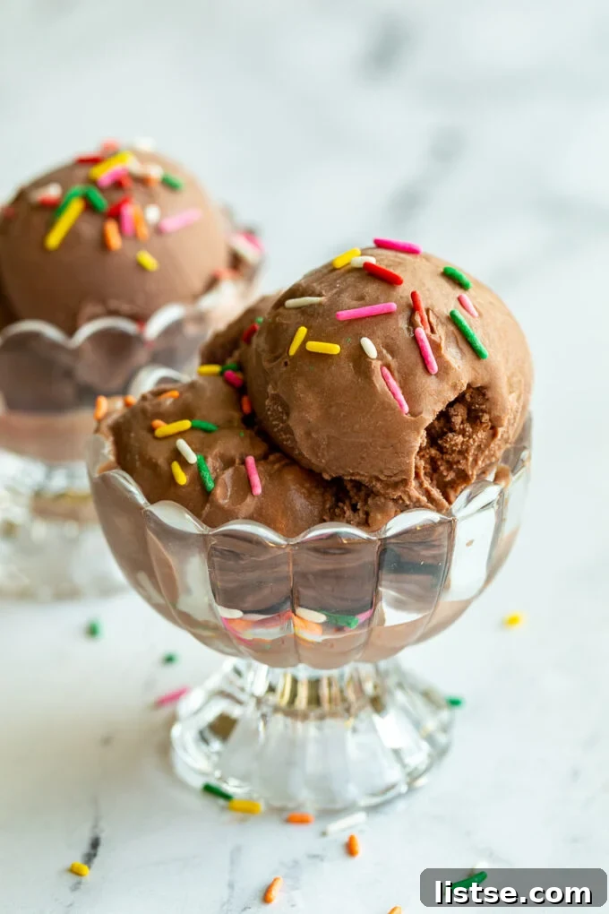 Rich chocolate ice cream generously topped with vibrant sprinkles, served in a clear glass dish, highlighting its creamy texture.