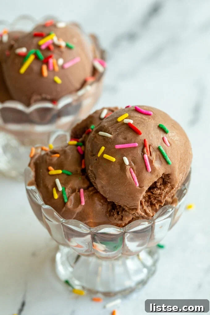 A scoop of rich chocolate ice cream adorned with colorful sprinkles in a clear dish, ready to be enjoyed.