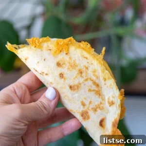 Cheesy Double Stacked Taco Shells