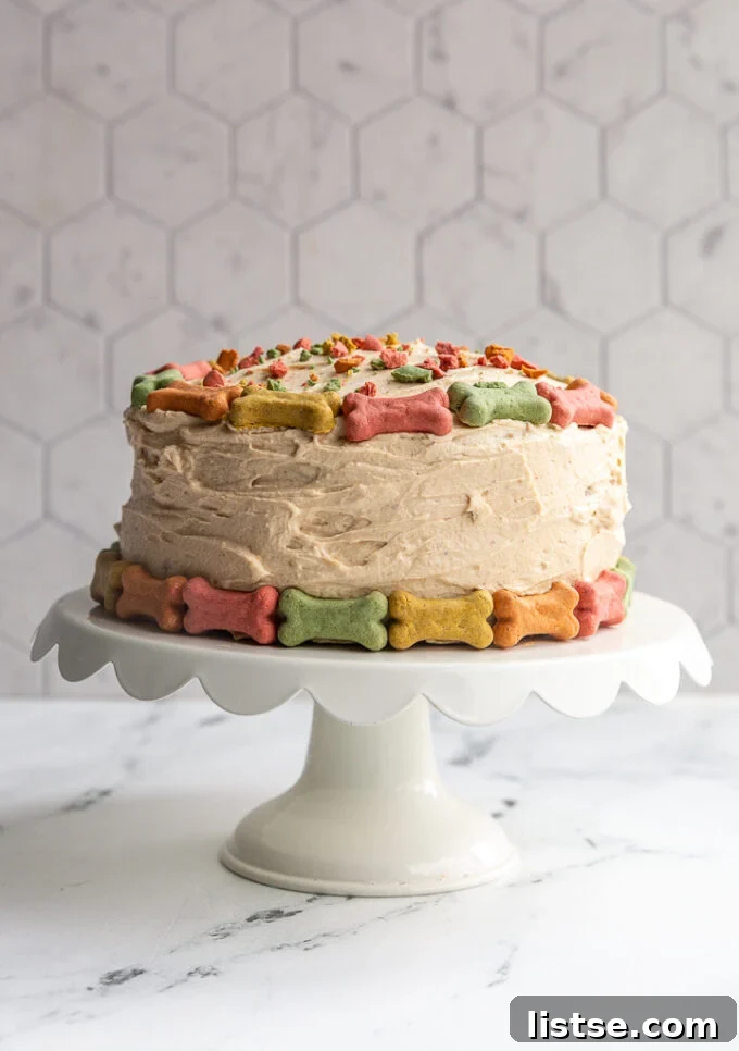 A beautifully decorated round dog birthday cake covered in colorful mini dog bones with crushed bones on top resembling sprinkles, ready to be enjoyed by a happy dog.