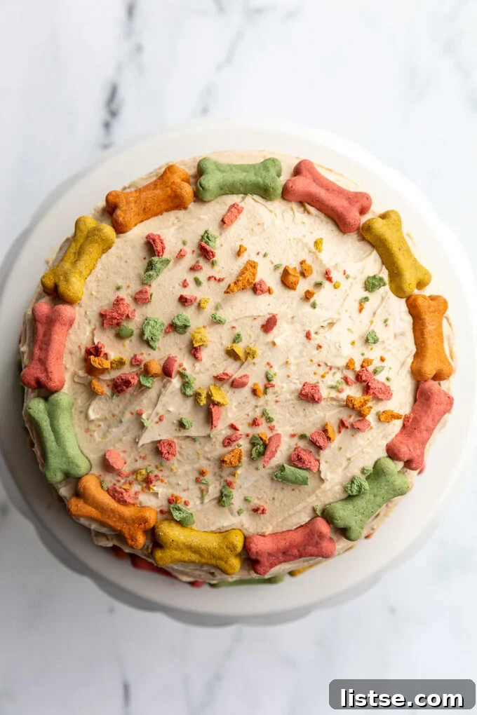 Another enticing view of the homemade dog birthday cake, perfectly round and generously covered with a medley of colorful mini dog bones. Crushed bone pieces mimic sprinkles, adding to its festive appeal.