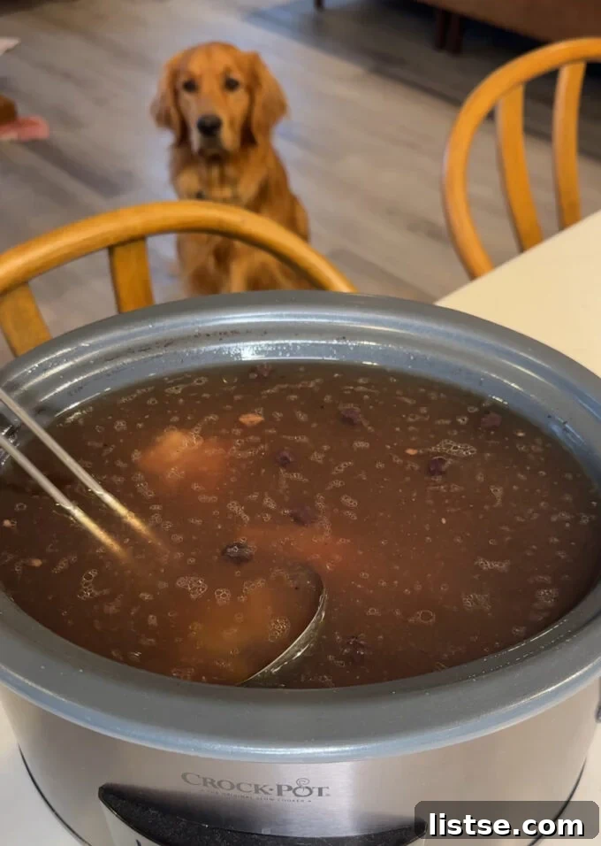 Unlock Canine Wellness with Bone Broth 2 A bowl of fresh homemade bone broth for dogs, ready to be served.