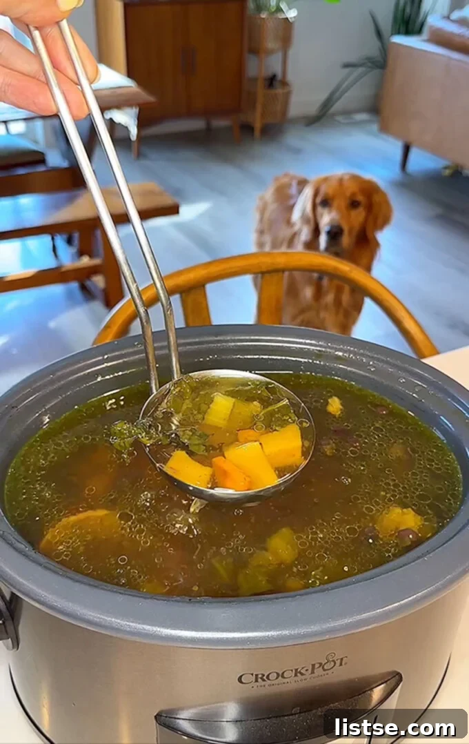 A crockpot full of rich, golden dog bone broth with a ladle scooping some out, and a happy golden retriever visible in the soft background, symbolizing wellness and healthy pet nutrition.
