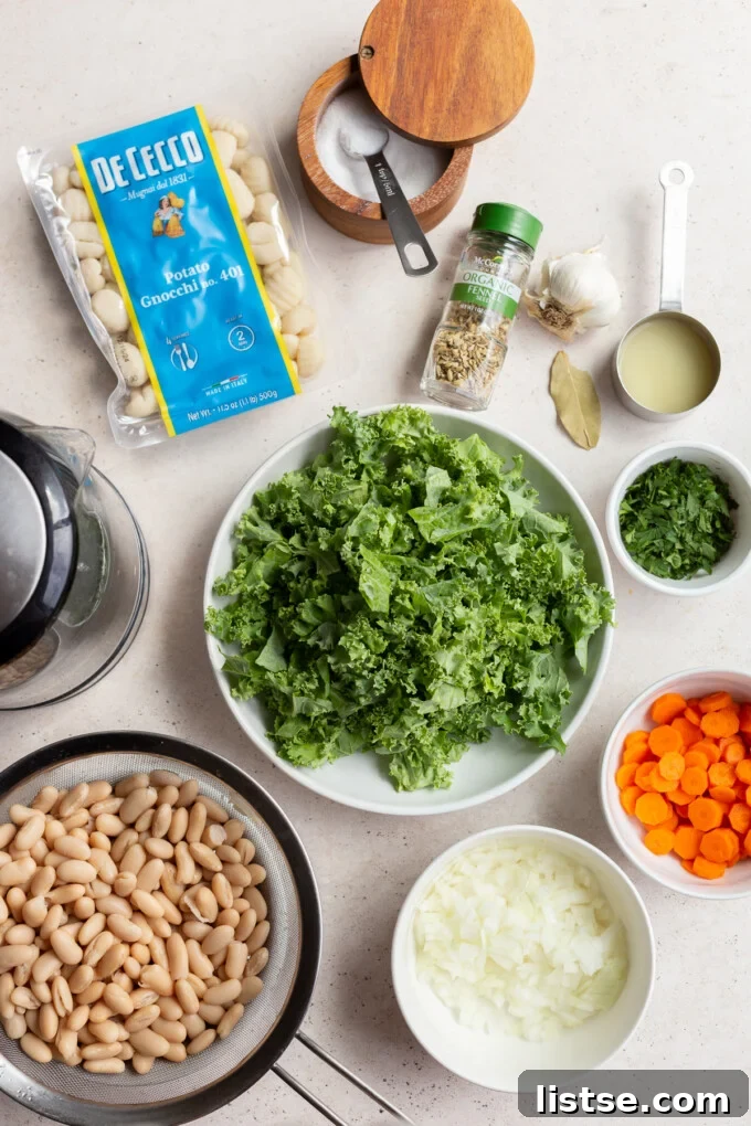 Ingredients laid out for gnocchi soup: vegetable broth, potato gnocchi, fresh kale, sliced carrots, diced onions, canned white beans, a selection of aromatic spices, salt, and black pepper.