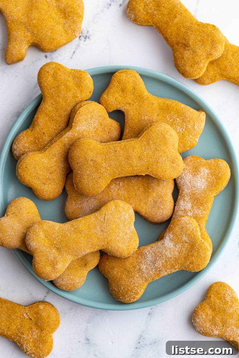 Pumpkin dog biscuits shaped like dog bones on a plate.