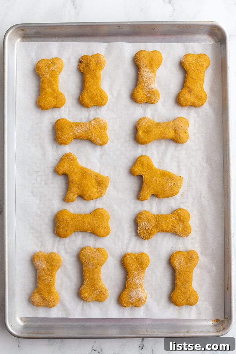 Baked dog treats on a parchment lined cookie sheet.