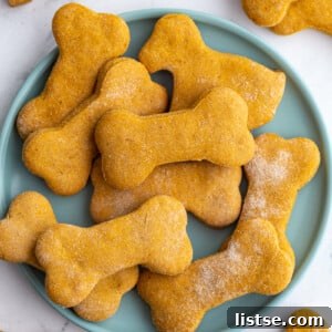 Pumpkin dog biscuits shaped like dog bones on a plate.