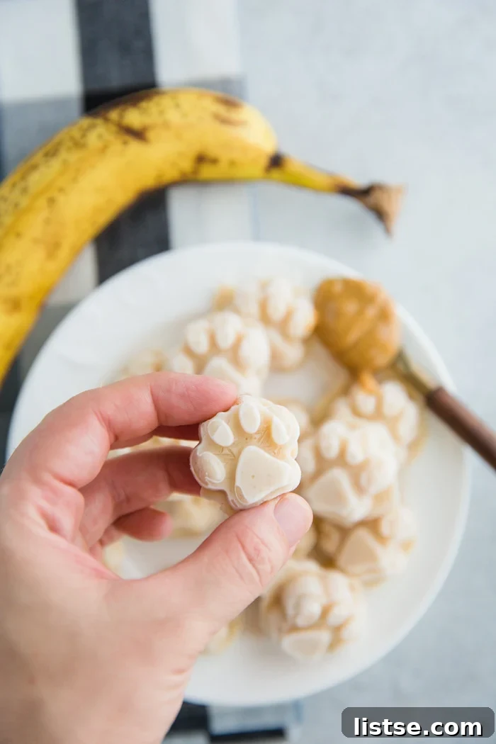 Close-up of frozen dog ice cream treats shaped like paw prints, perfect for summer cool-downs