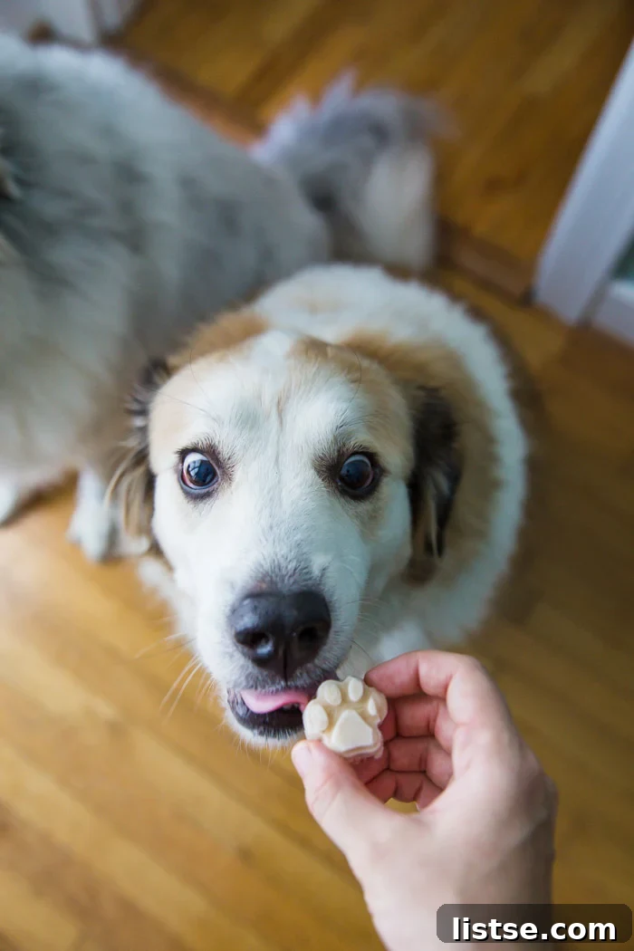Three core ingredients for dog ice cream: plain yogurt, ripe banana, and natural peanut butter