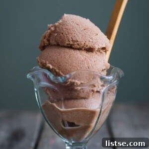 Homemade Snow Cream A Delightful Winter Dessert 2 Chocolate snow cream in a bowl, ready to serve.
