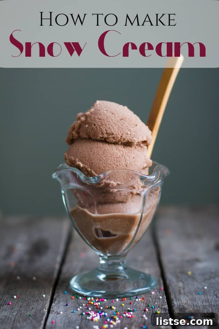 Homemade Snow Cream A Delightful Winter Dessert 3 Chocolate Snow Cream Instagram photo