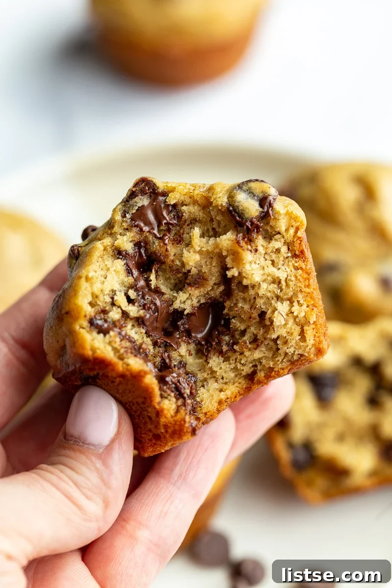 Plant-Powered Chocolate Chip Delights 2 Freshly baked vegan chocolate chip muffins on a cooling rack