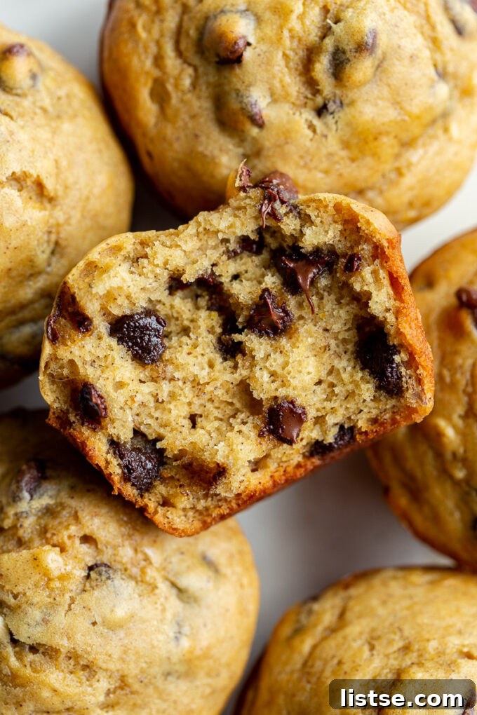 Plant-Powered Chocolate Chip Delights 5 Close-up of baked vegan chocolate chip muffins with golden tops